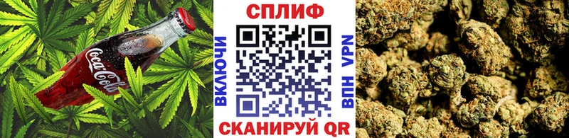 маркетплейс какой сайт  Гуково  Cannafood марихуана 
