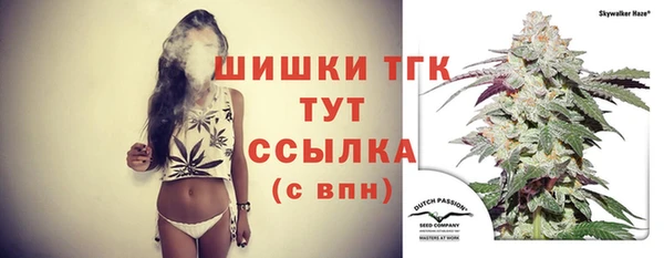 стафф Баксан