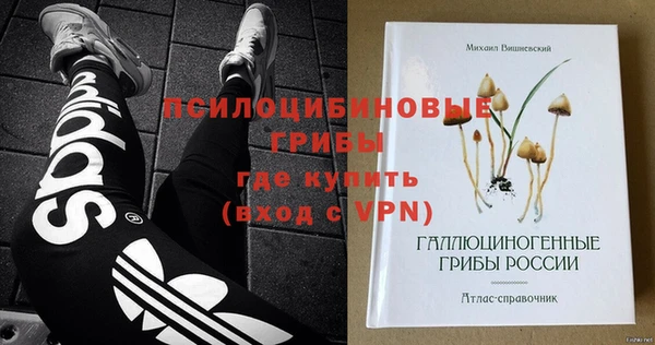 стафф Баксан